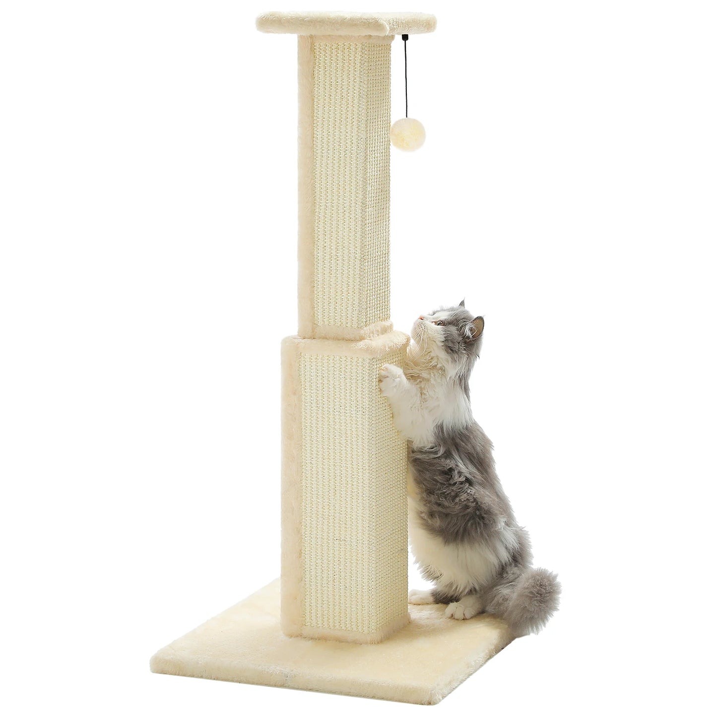 80CM Pet Cat Tree Scratching Post for Indoor Plush Top Perch Stable Durable with Ball Black Natural Sisal Protecting Furniture
