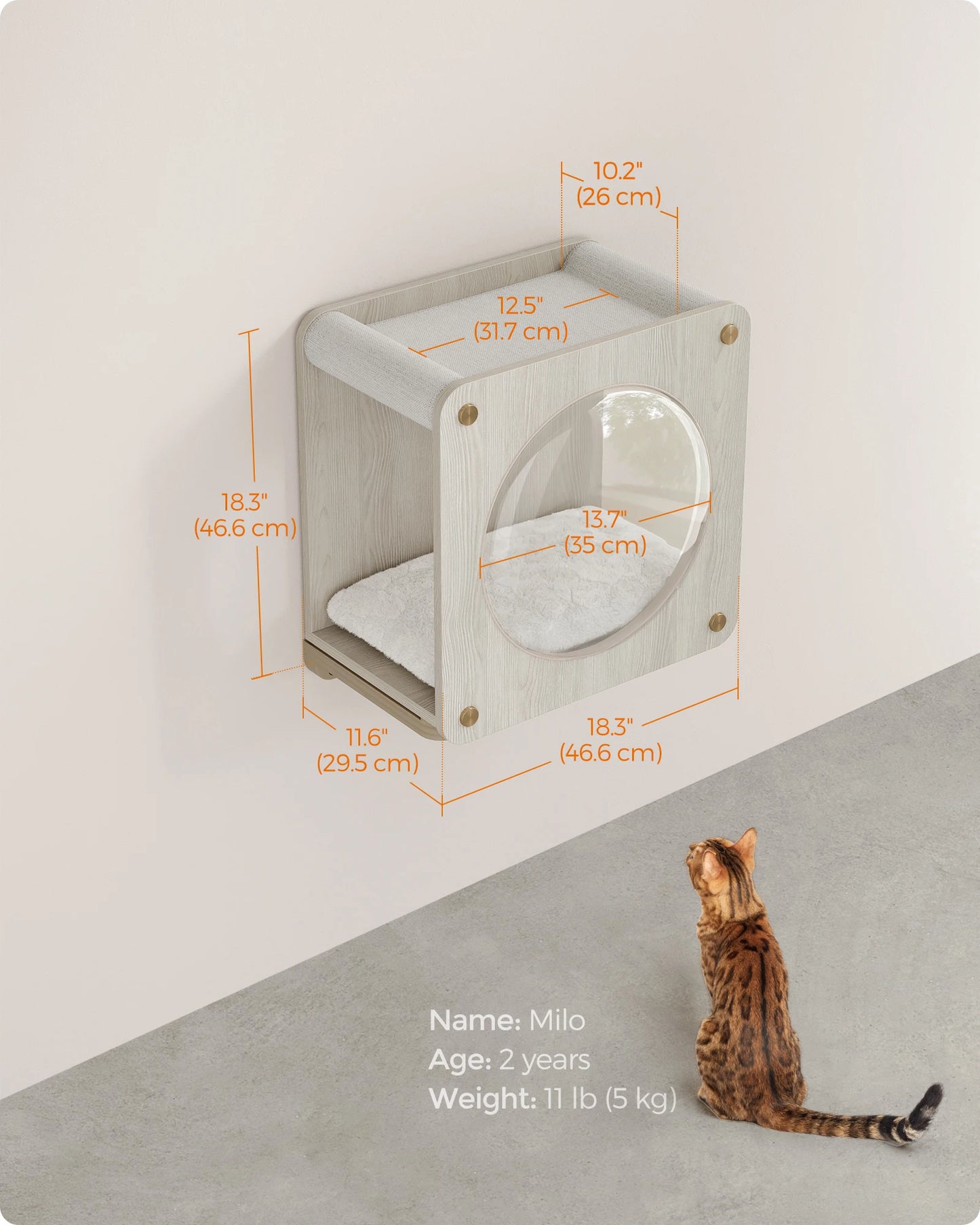 Feandrea Clickat Collection - No.010 Cat Cave, Cat Wall Condo House with Hammock, Observation Window, Extremely Quick Assembly