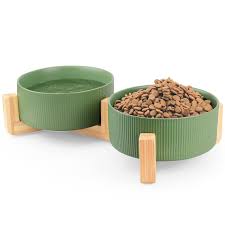 Bowls & Feeding