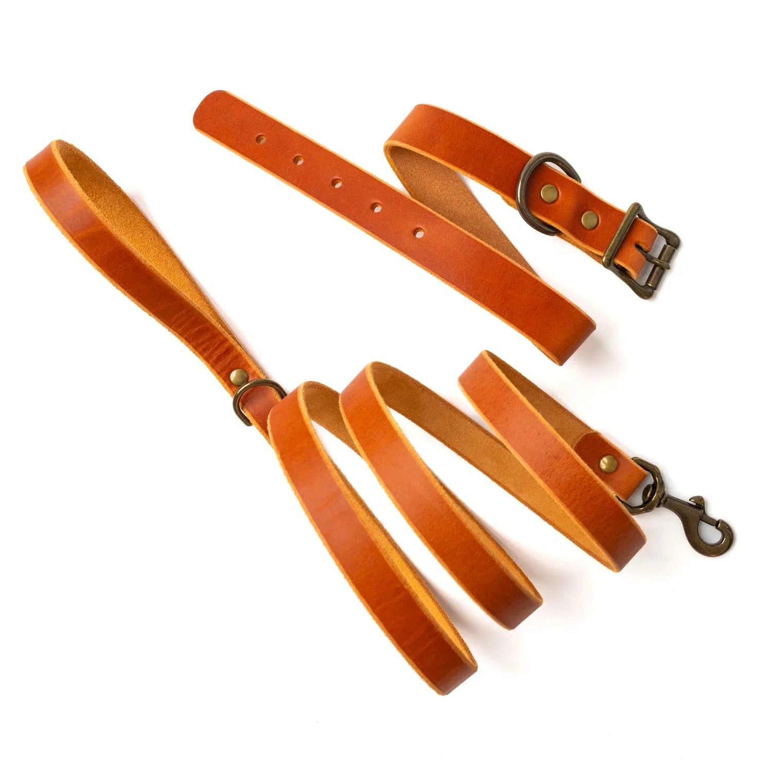 Collars & Leashes
