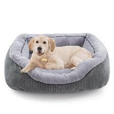 Beds and Blankets