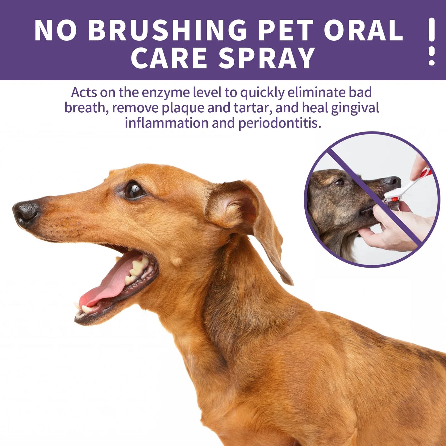 Yegbong Pet Oral Cleaning Spray Dogs Cats Mouth Fresh Deodorant Remove Tartars Bad Breath Removal Health Care Pet Odor Cleaner