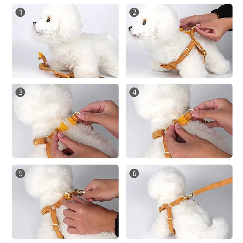 Small Dog Harness Collar and Leash Set, No Chock No Pull Soft Mesh Adjustable Dog Vest Harnesses for for Puppy Small Dogs