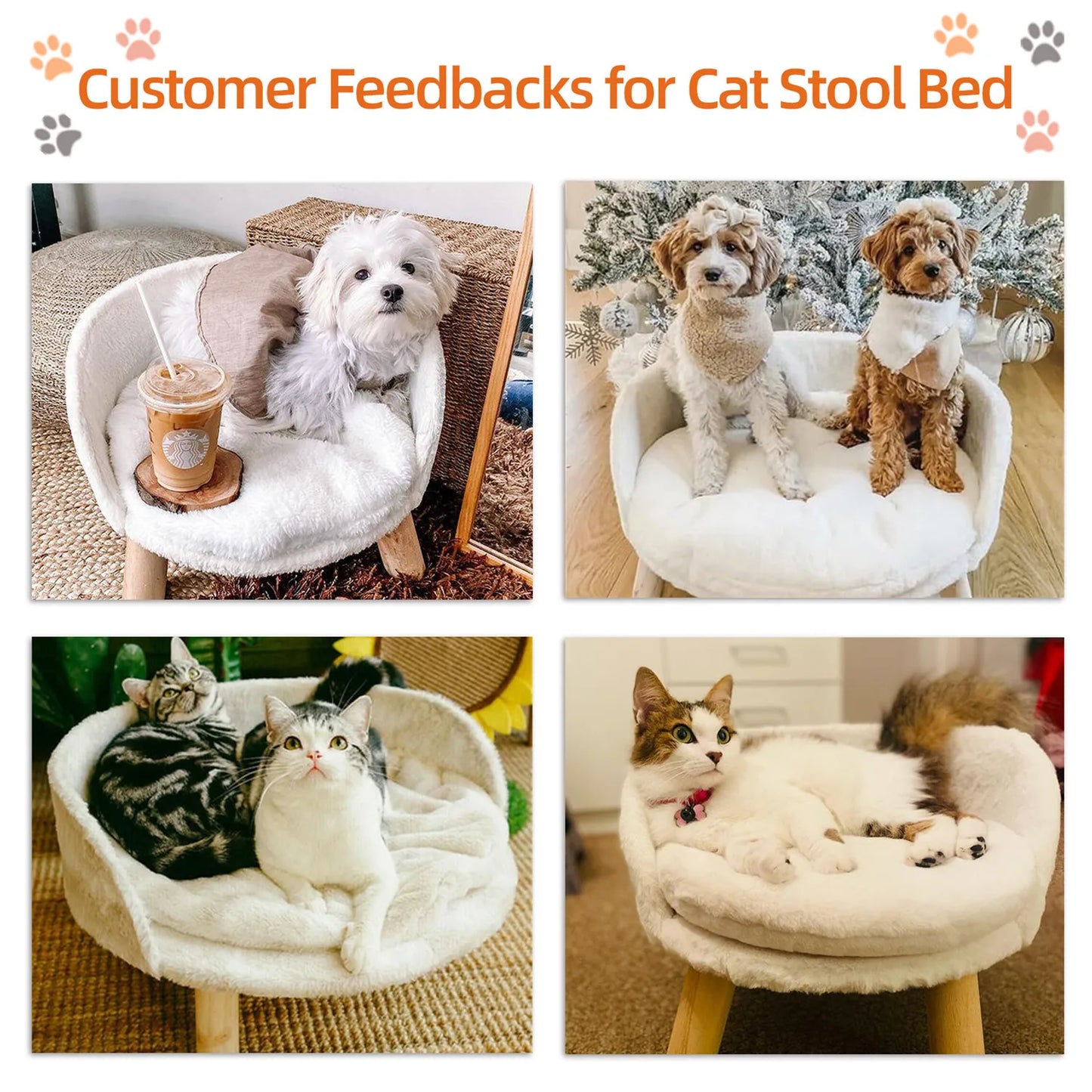 Pet Sofa Bed Raised Cat Chair Small Dog Couch Bed Removable Cushion Sleep House