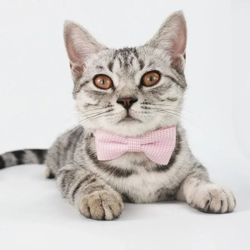 Cute Cat Collar with Bow Tie Adjustable Design Pet Dogs Cats Puppy Necklace Pet Supplies
