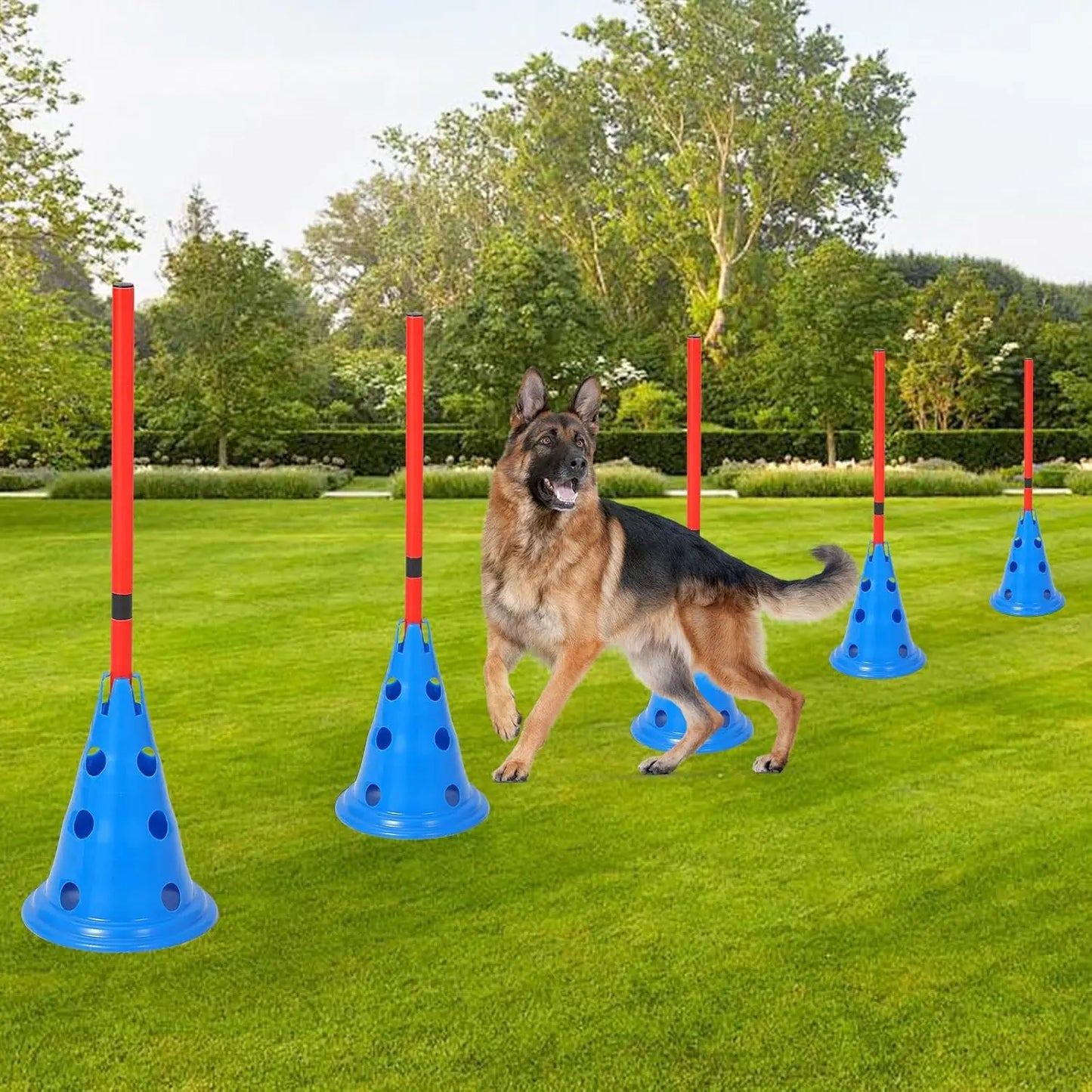 Dog Agility Hurdle Cone Set Dog Agility Course Backyard Set Include 12 Agility Cones 6 Agility Rods Training Equipment