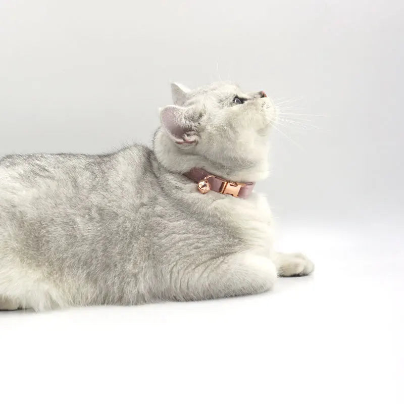 Customized Velvet Anti Lost Cute Bell Cat Collar Puppy Collar Light Luxury Fashion Good-Looking Pet Accessories Free Engraving