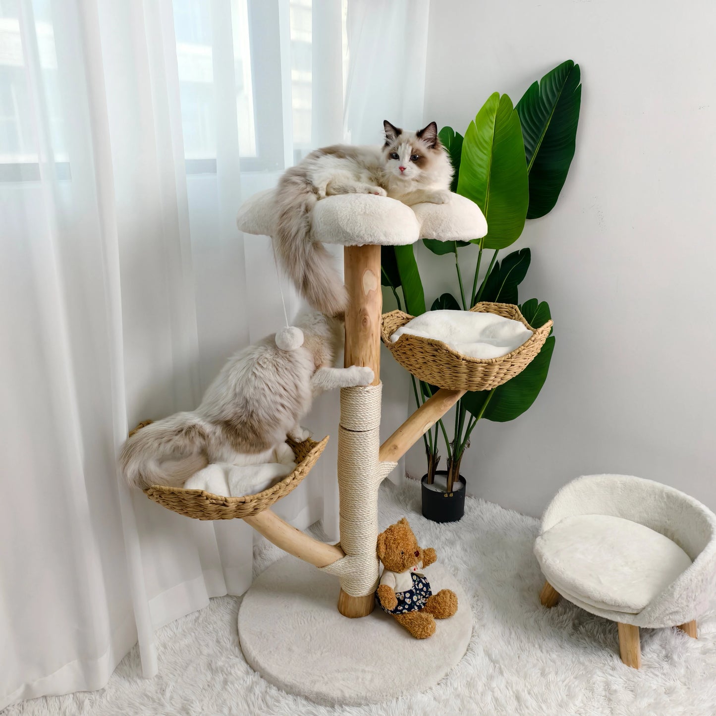 Modern Cat Tree Activity Tower with Plush Cushion and Toy Ball Sisal Scratching Post Kitten Condo Play House for Indoor