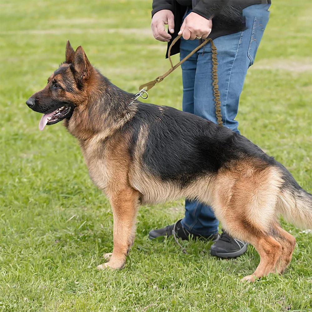 Military Dog Leashes Adjustable Leash Quick Release Elastic Rope With 2 Control Handle For Medium and Small Dogs Accessories