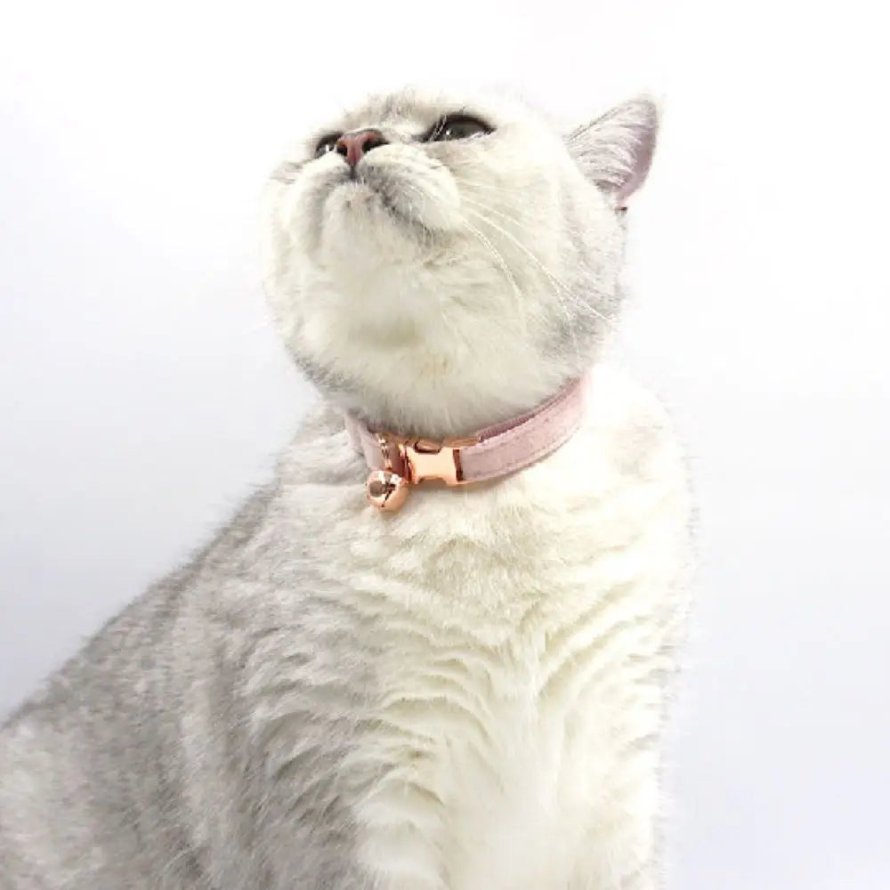 Customized Velvet Anti Lost Cute Bell Cat Collar Puppy Collar Light Luxury Fashion Good-Looking Pet Accessories Free Engraving