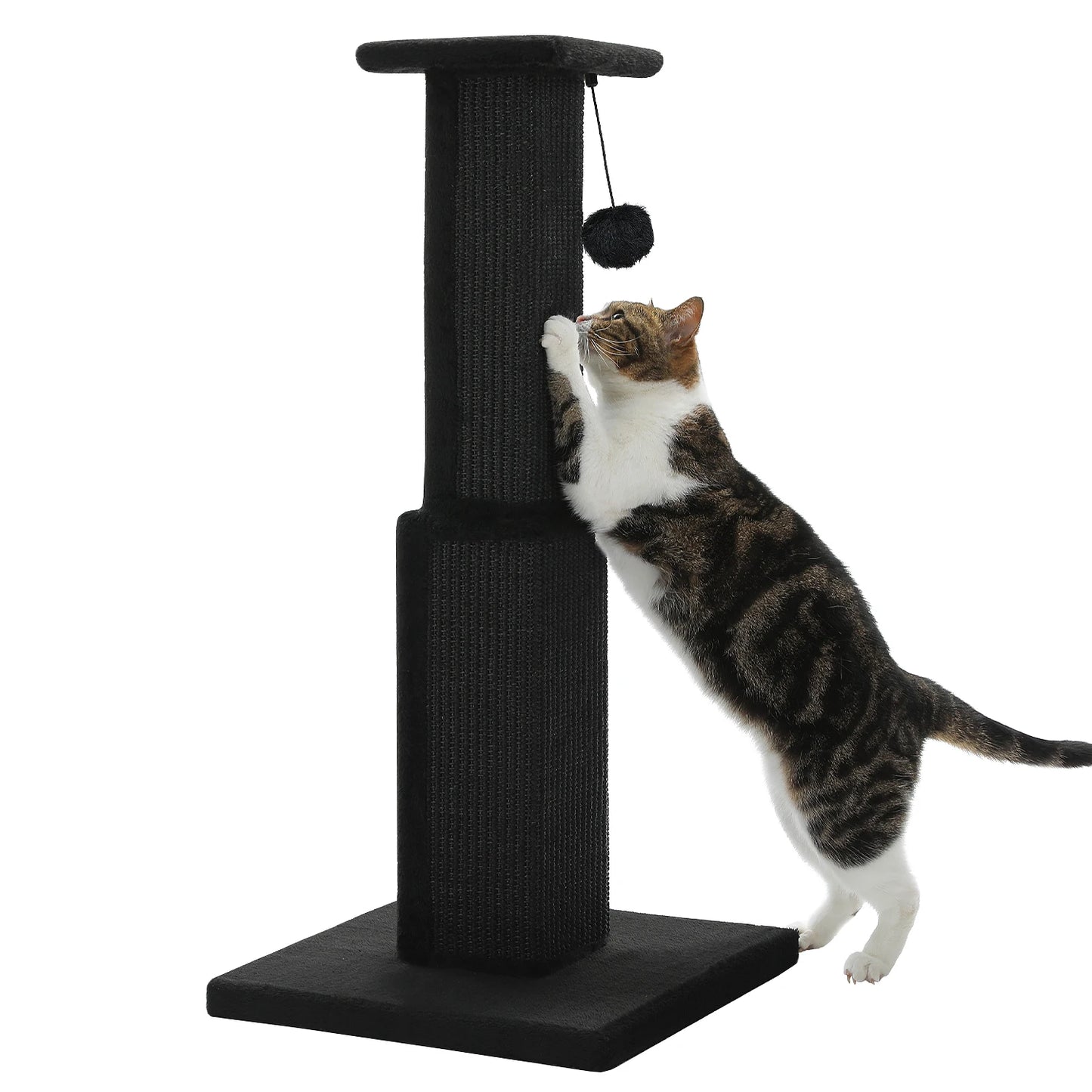 80CM Pet Cat Tree Scratching Post for Indoor Plush Top Perch Stable Durable with Ball Black Natural Sisal Protecting Furniture