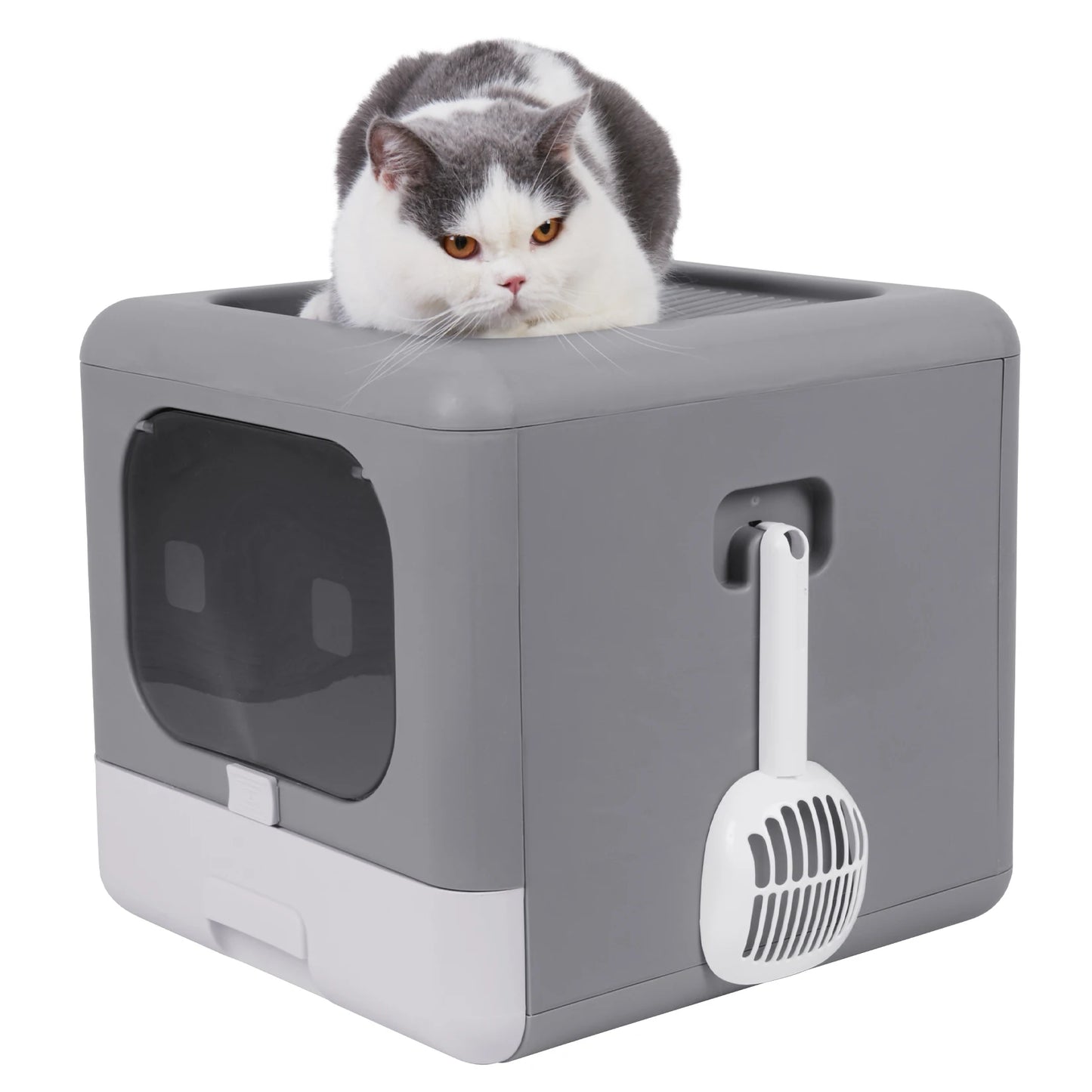 Bingopaw Cat Litter Box with Lid, Enclosed Potty, Large Top Entry Anti-Splashing Toilet, Easy to Clean Including Litter Scoop
