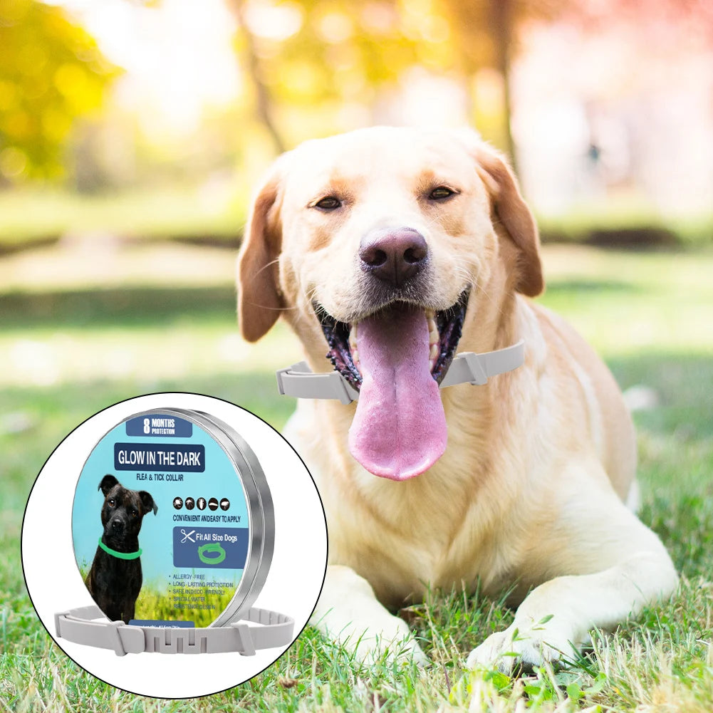 1-3Pcs Dog Calming Pheromone Collars Cats Relieve Anxiety Adjustable Comfortable Collar For Puppy Kitten Large Dog Accessories