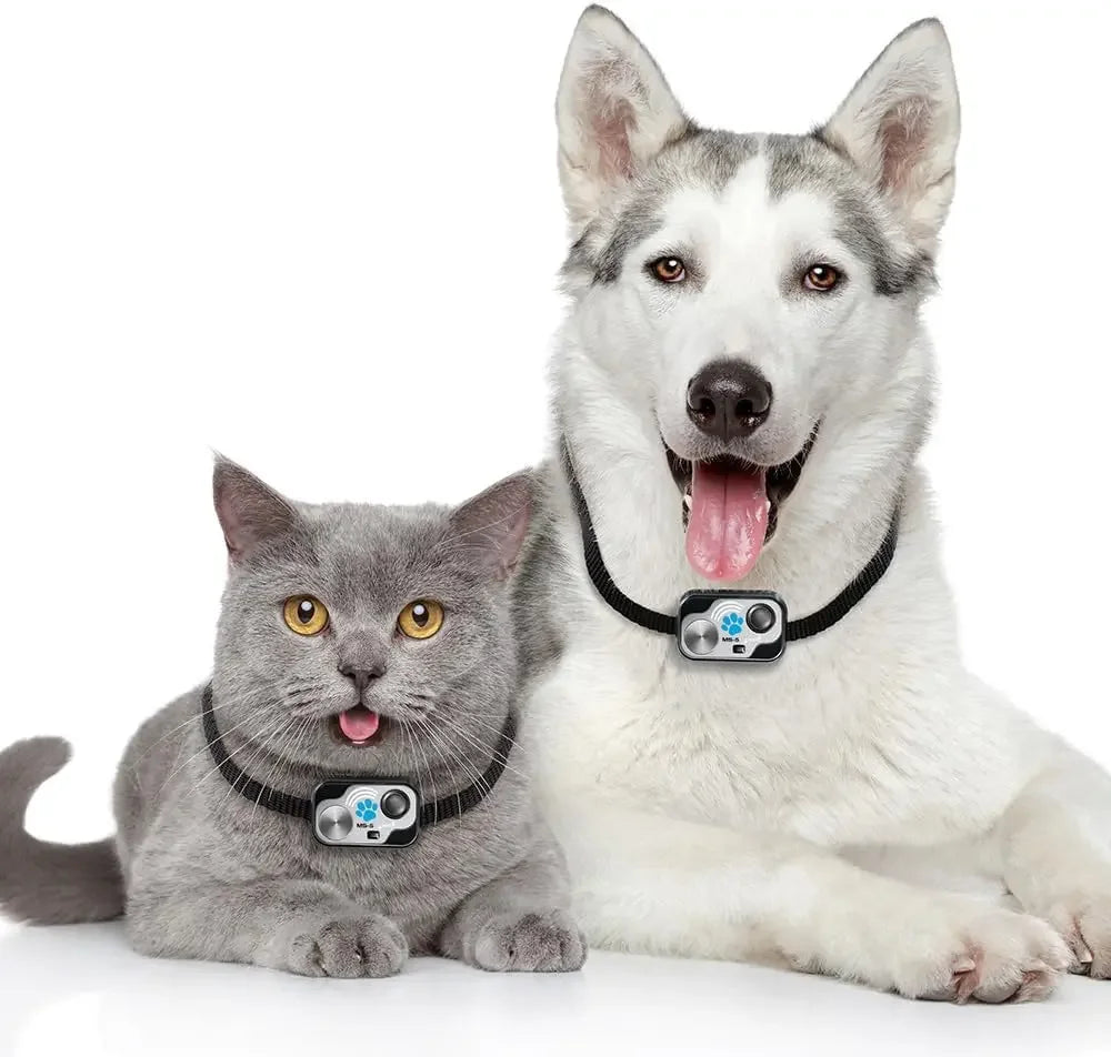 Power Pet Door Collar with 2 Replacement Batteries