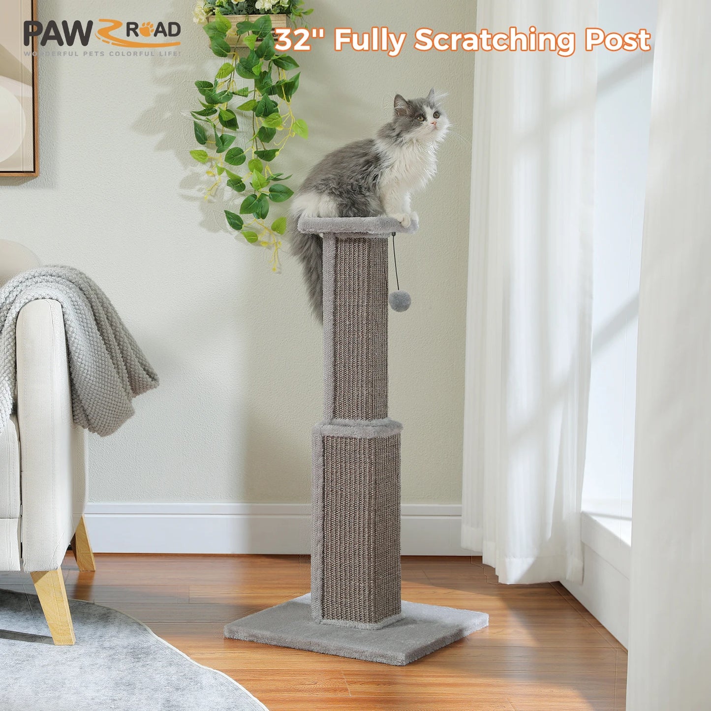 80CM Pet Cat Tree Scratching Post for Indoor Plush Top Perch Stable Durable with Ball Black Natural Sisal Protecting Furniture