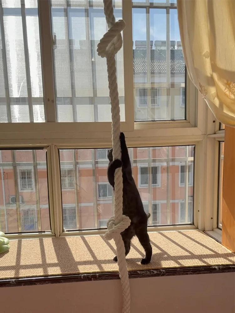 Cat Climbing Shelf Cat Climbing Rope 3m Jute Rope Ceiling-Mounted Climbing Rope for Cats Kickers Climbers Toys for Cat Scratcher