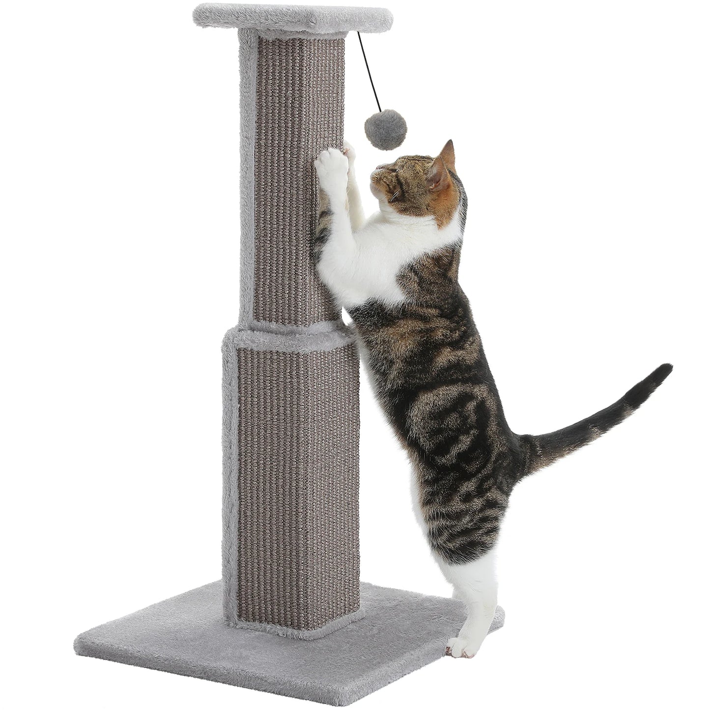 80CM Pet Cat Tree Scratching Post for Indoor Plush Top Perch Stable Durable with Ball Black Natural Sisal Protecting Furniture