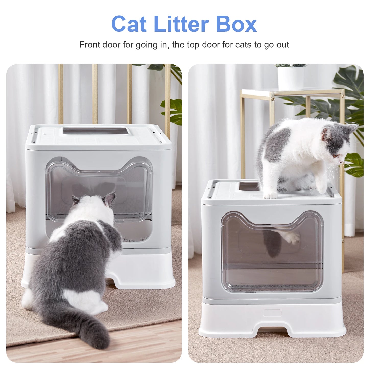 Enclosed Cat Litter Box with Lid Top Exit Covered Litter Box Leak Proof & Odorless Easy to Clean Including Cat Litter Scoop Mat
