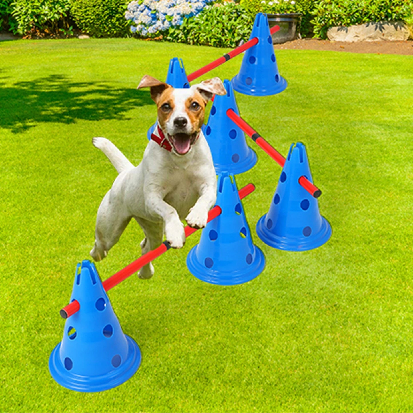Dog Agility Hurdle Cone Set Dog Agility Course Backyard Set Include 12 Agility Cones 6 Agility Rods Training Equipment