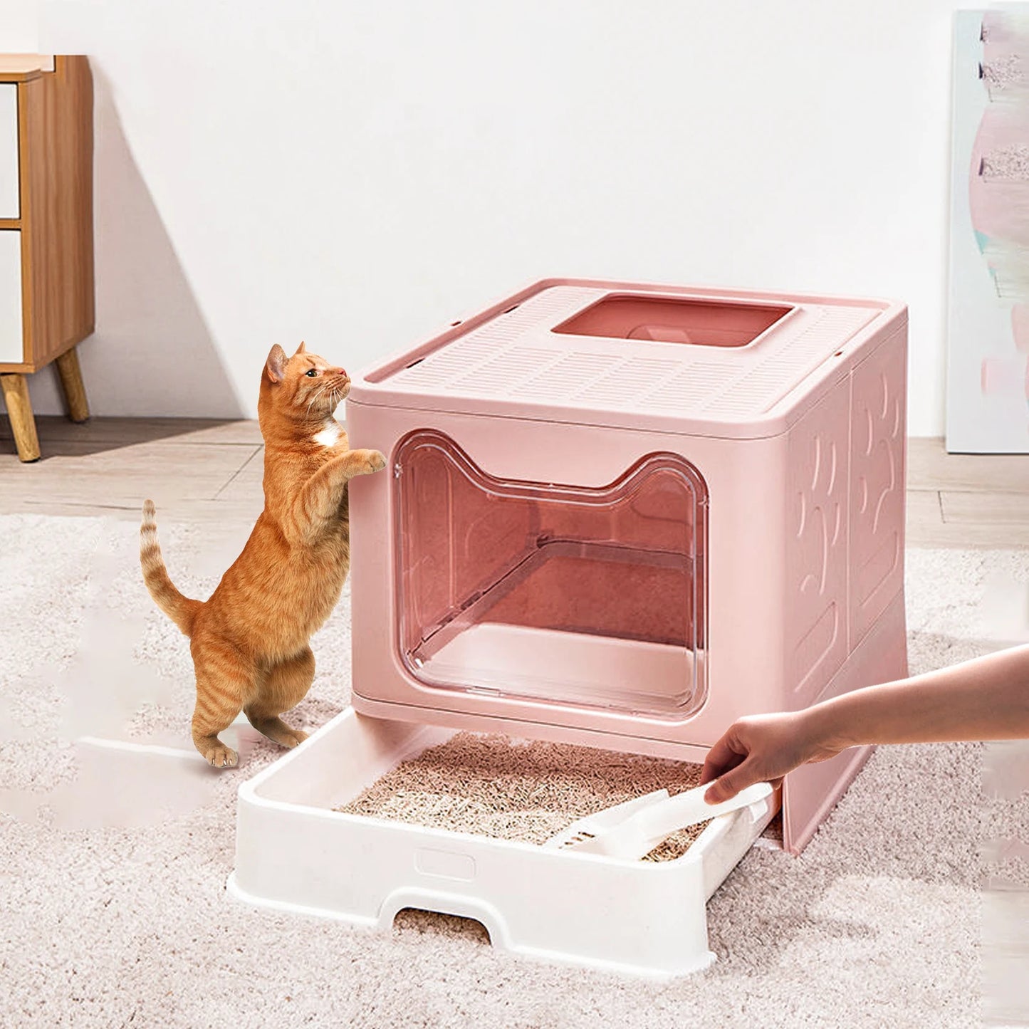 Modern Tidy Cat Litter Box Flexible Cat House Furniture Cat Potty with Portable Scoop Drawer