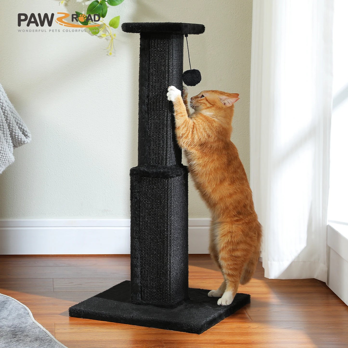 80CM Pet Cat Tree Scratching Post for Indoor Plush Top Perch Stable Durable with Ball Black Natural Sisal Protecting Furniture