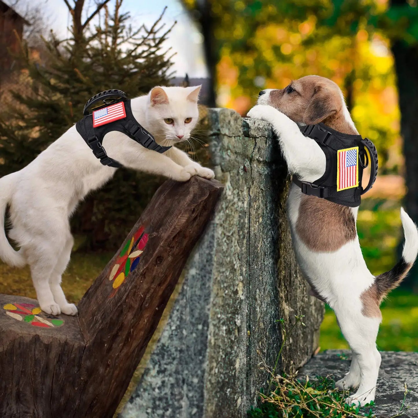 Tactical Puppy Harness Leash Set For Small Dogs Adjustable Cat Harnesses Vest For Training Walking Military Cats Dog Accessories